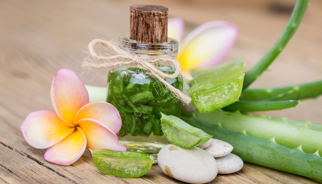 Aloe Vera Hair Care